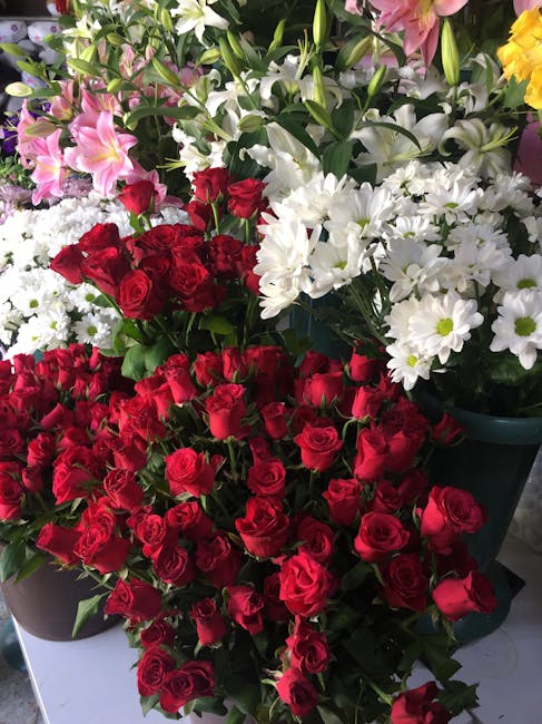 A vibrant display of fresh flower arrangements featuring red roses with tightly packed petals and lush green leaves, accompanied by clusters of white daisies with delicate petals and yellow centers. T