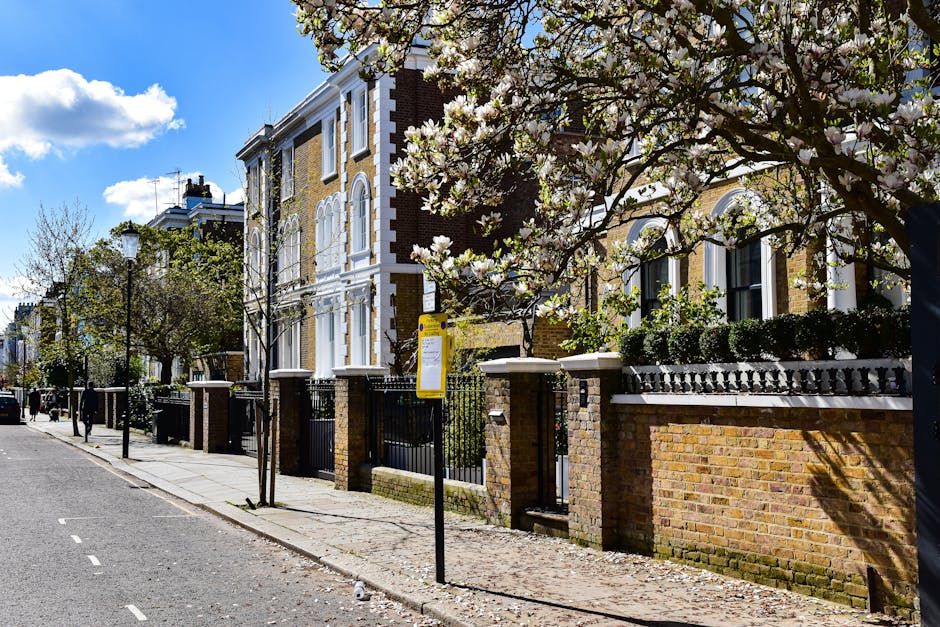A residential street scene featuring a brick and white-painted Victorian-style townhouse with decorative window frames and a black wrought-iron fence. In the foreground, a blooming tree with white and